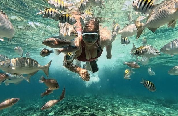 Rosario Islands and Playa Blanca Tour with Snorkeling or Aquarium