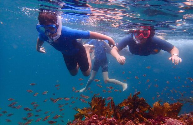 Snorkeling Adventure for Kids with Private Guide In Sydney