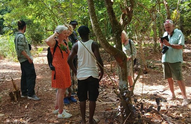 Jozani Forest Spice Farm Stone Town and Forodhani Night Market