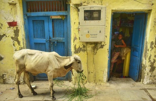 Heritage Walking Tour in Ahmedabad for an Immersive Experience