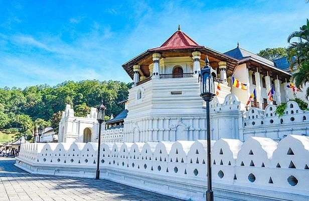 6 Days Tour of Sri Lanka