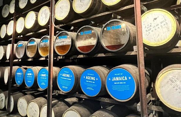 Appleton Estate Rum Tasting and YS Falls 