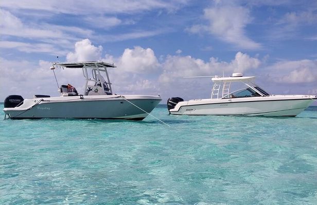 Stingray Snorkel