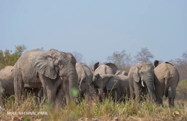 4 Days Adventurous Wildlife Safari