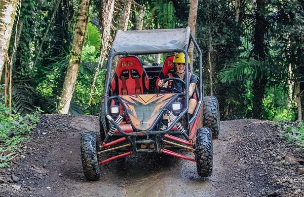 Private Bali UTV Adventure