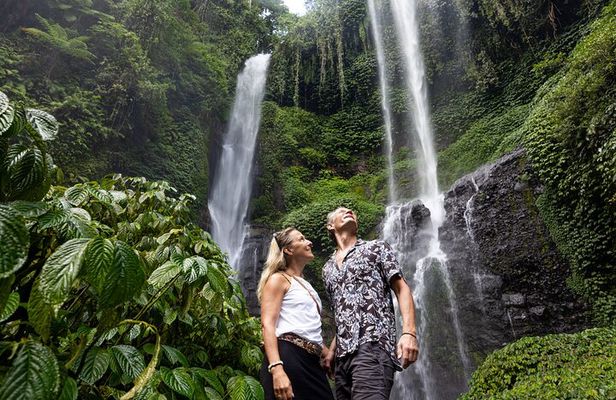 Explore Bali's Largest Waterfalls Day Trip with Lunch