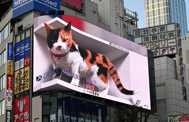 Complimentary Shinjuku Highlights Walking Tour (Pay‑by‑Tip)