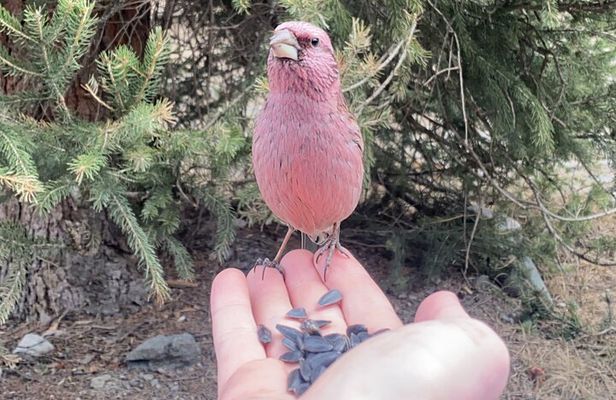 Horse Riding in Ala Archa National Park