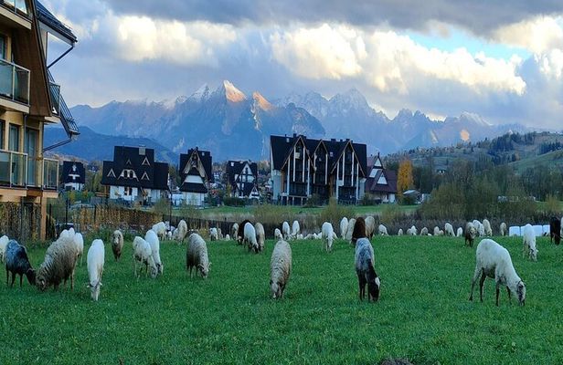Zakopane and Thermal Pools Tour with Hotel Pickup