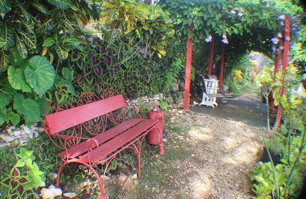 Ahhh Rasnatango Gallery and Garden