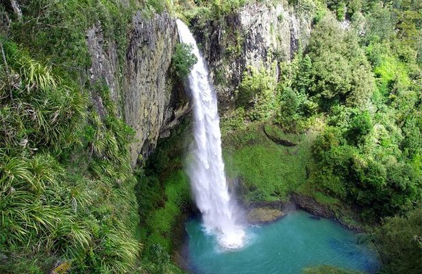 Raglan New Zealand Adventure Tour from Auckland