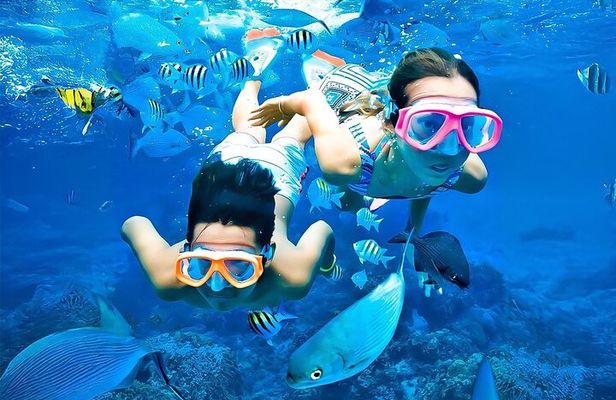 From Uppuveli Beach: Pigeon Island Snorkeling Tour