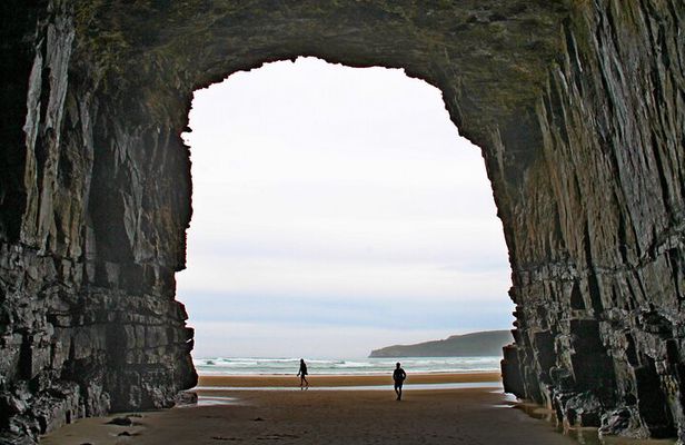 Nugget Point and Cathedral Caves Private Tour from Dunedin