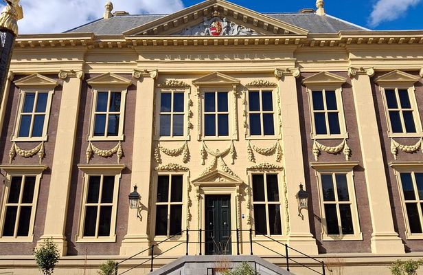 Private Guided City Tour of The Hague & Mauritshuis Museum Entry