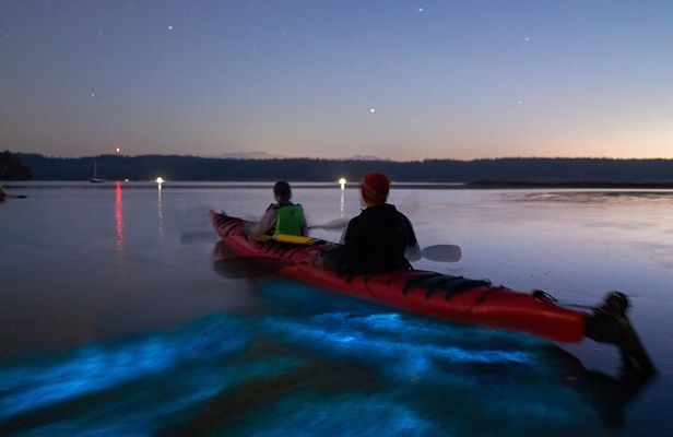 Bioluminescence Kayak Tour at Fort Flagler State Park 