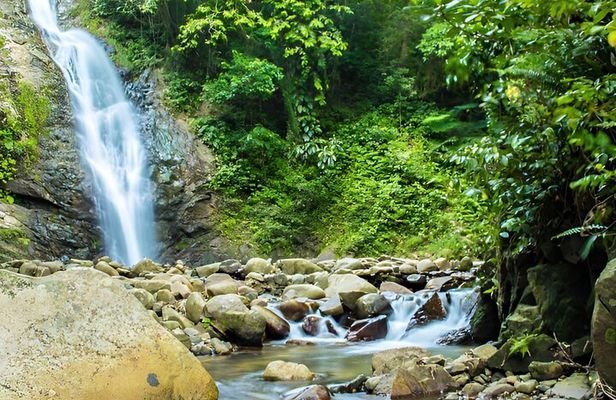Private Tour Biausevu Waterfall and Fijian Village Experience