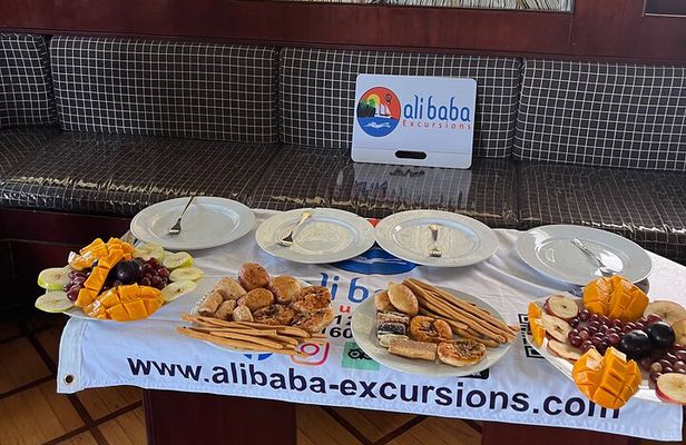 Speed Boat 4 Hours Snorkeling swimming with Dolphins,White island