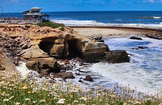Coastal E-Bike Tour of La Jolla and Pacific Beach