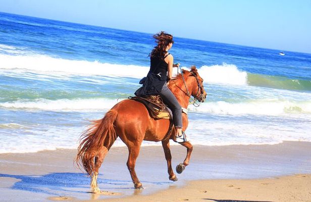 Horseback Riding Adventure in Punta Mita Nayarit