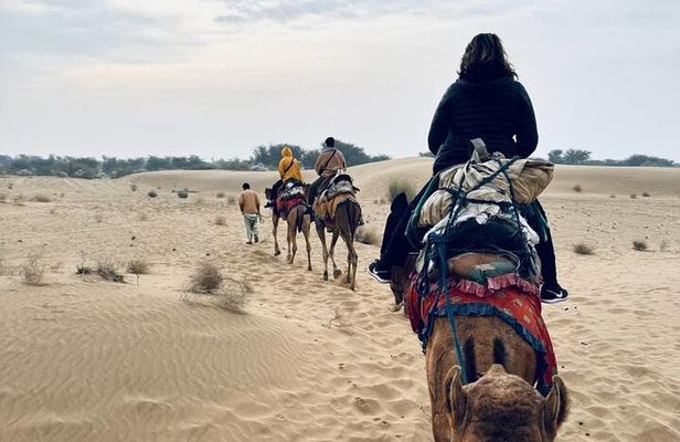 Explore Thar Desert with Camping Ride