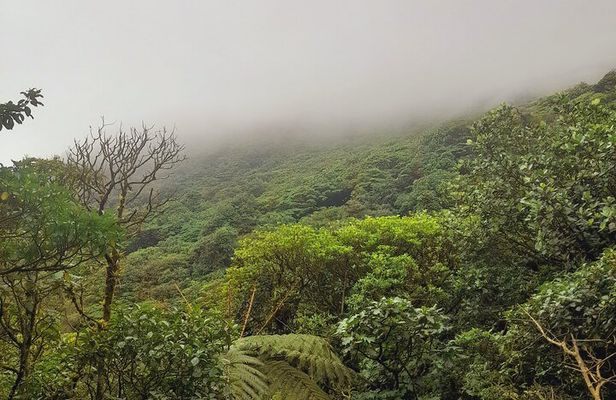 Mombacho Volcano Clouded Forest Trail and Ziplining 