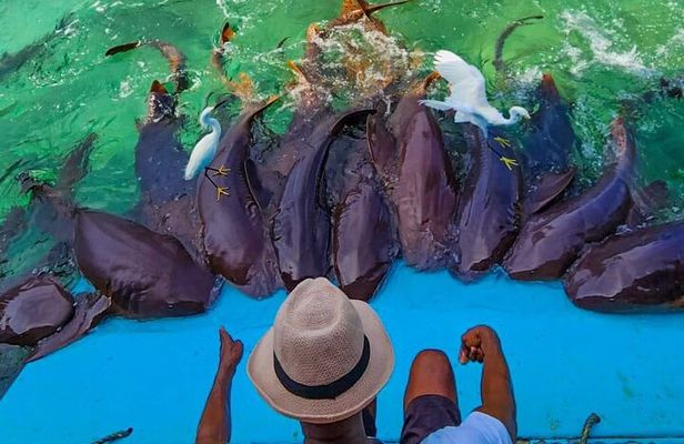 Visit 4 destinations in Rosario islands with oceanarium tickets