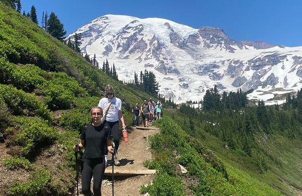 Mt. Rainier National Park Private Tour