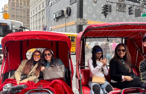 New York City Private Tour