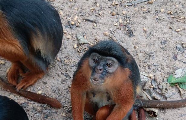 City Tour Arch 22 Museums and Wildlife Pass
