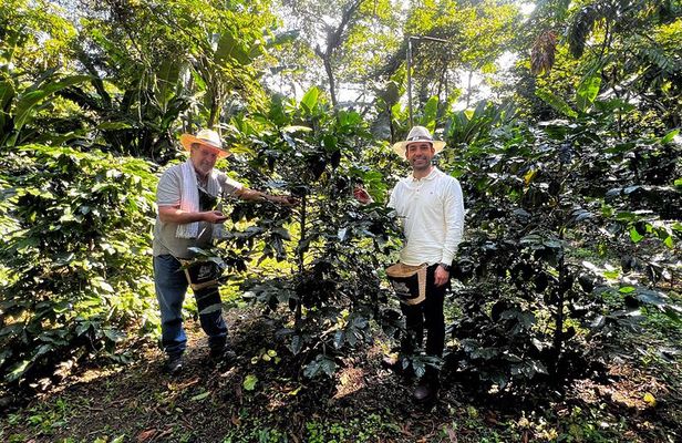 Coffee Farm Shared Tour from Salento