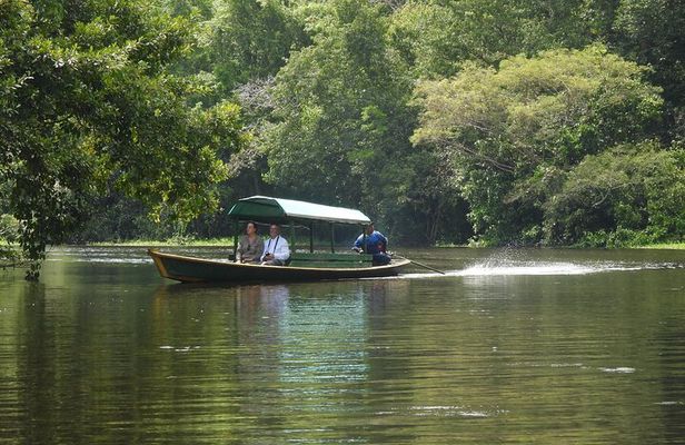 Amazon River and Monkey Island Day Tour