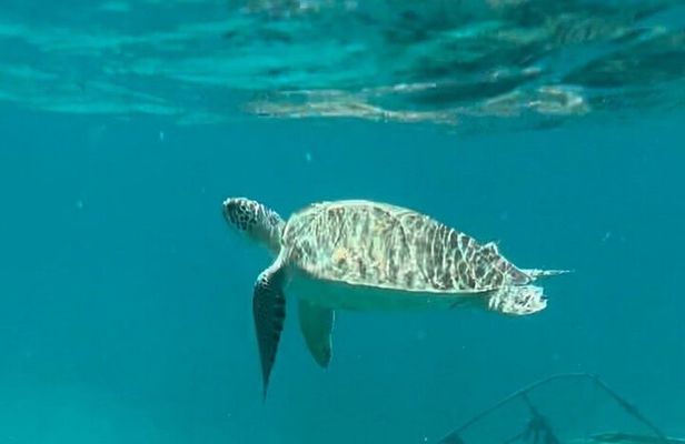 St John - Customized Adventure Tour With Flexible Itinerary 7.5HR