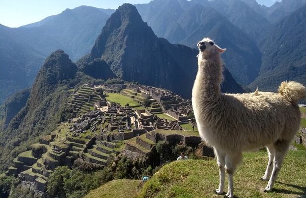 Machu Picchu Private Day Trip from Cusco