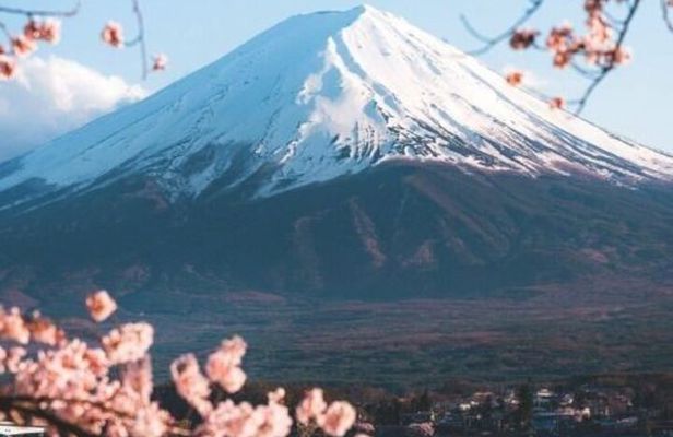 Mount Fuji Sakura Views and Hakone Private Tour