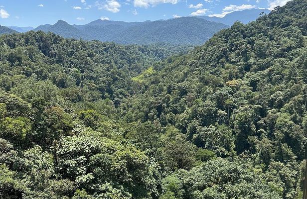 Mindo Cloud Forest Guided Private Tour