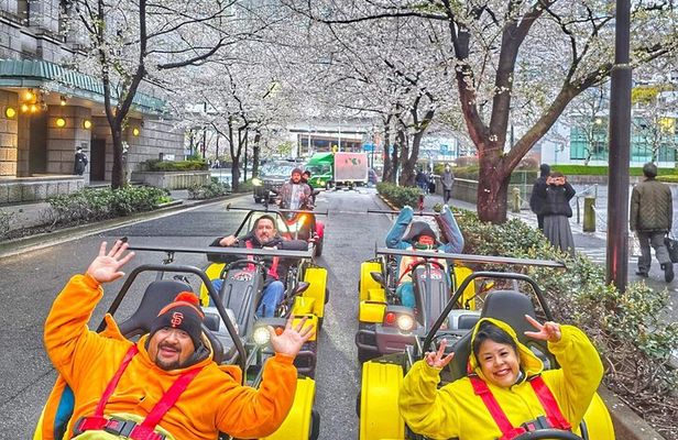 Go Kart Tokyo: Sakura & Shibuya Crossing Experience