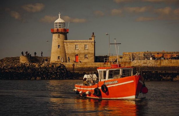 Sundown Cruise Around the Island of Ireland's Eye from Howth