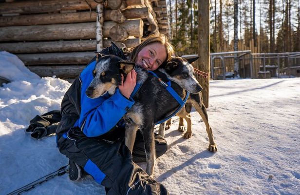 Rovaniemi Husky Safari & Campfire BBQ – 6‑10 km Self‑Drive