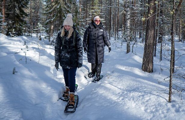 Rovaniemi: Snowshoe Adventure at Vikaköngäs & Barbeque
