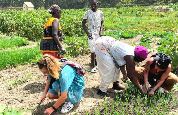 Senegambia Highlights Cultural and Adventure Tours