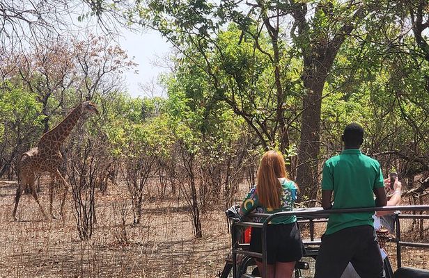 Safari adventure at Fathala Wildlife Reserve in Senegal