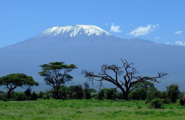 Amboseli National Park and Masai Village Day Trip From Nairobi