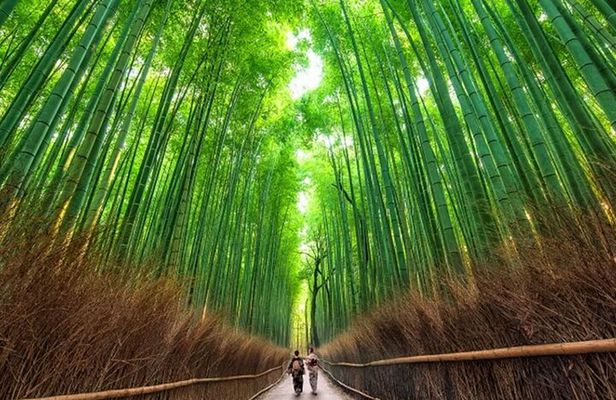 Kyoto: Arashiyama Walking Tour – UNESCO World Heritage