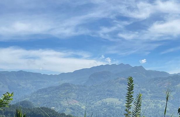 Knuckles Peak and Jodu Ella Waterfall Tour by Hiking