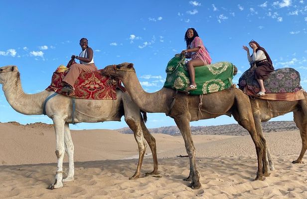 Camel Ride in Timlalin Dunes with luxury Sunset and Mint Tea