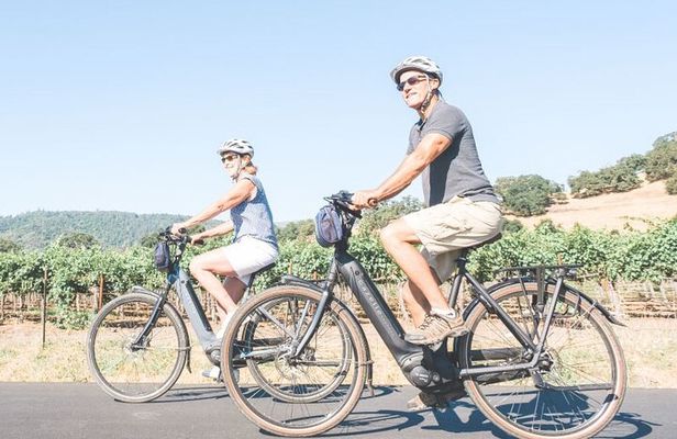 Vine Trail Discovery E-Bike Tour