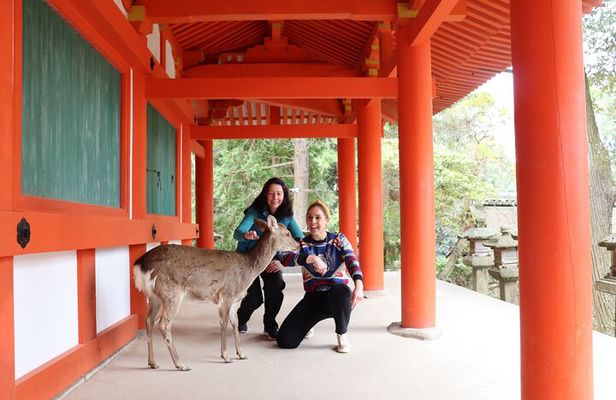 Private Nara Tour and Sake Tasting (Departing from Kyoto/Nara)