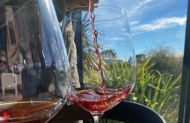 Private Martinborough Wine Tour for Wine Enthusiasts