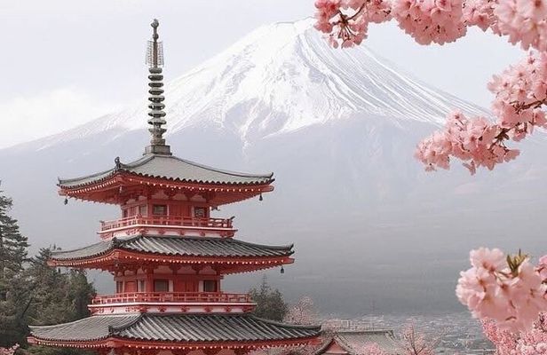 Mount Fuji Customizable one day Private Tour from Tokyo