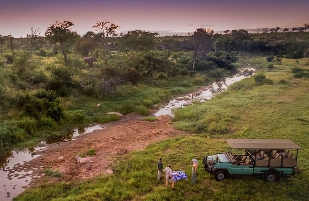 Full/Half Day Kruger Park Safari | Pickup & Drop-off Marloth Park